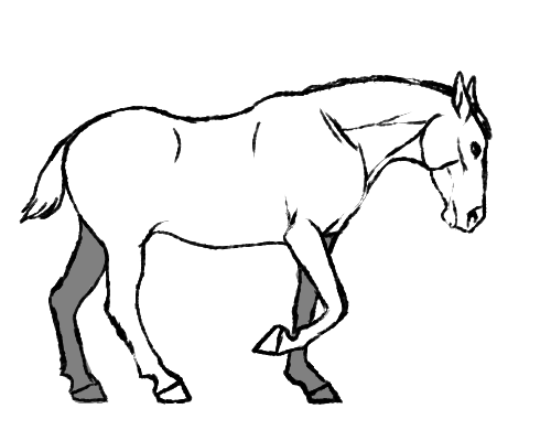 躍動感のある馬の描き方 コツまとめ 絵描きねっと